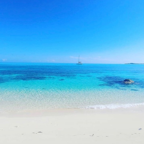 Maggie M - Picture 1 of 1